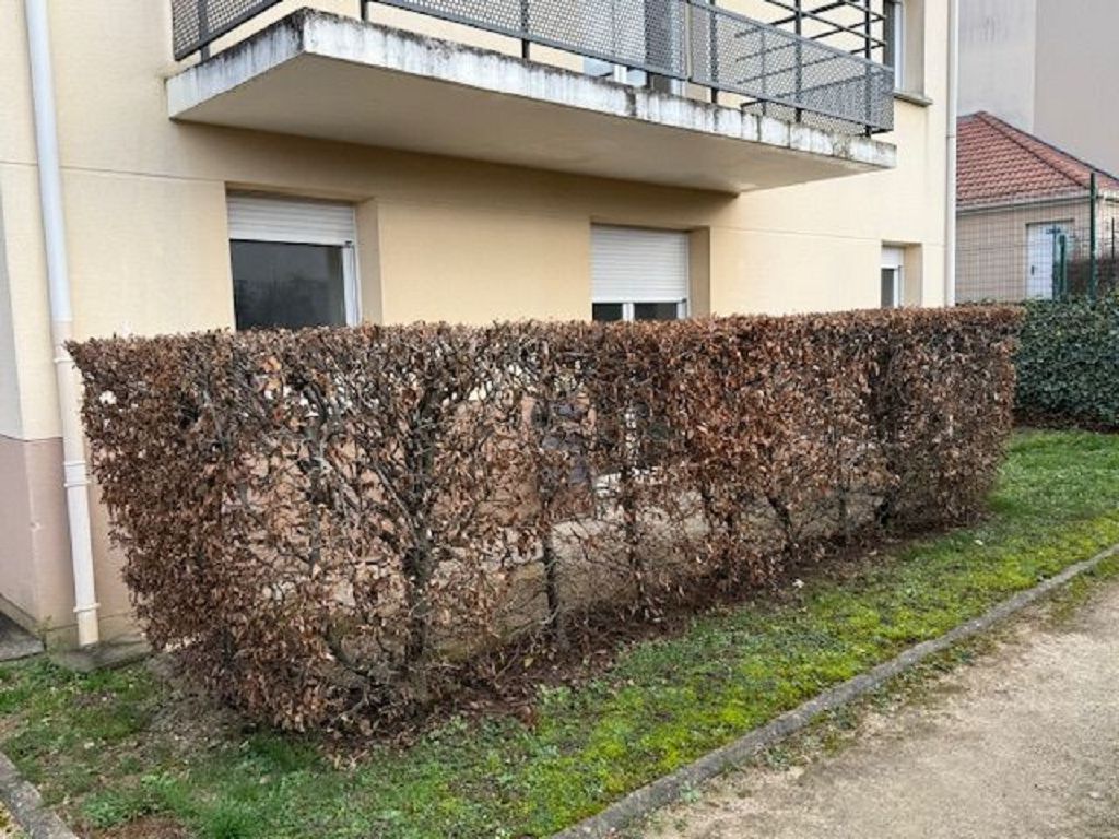 Appartement T3 VILLENEUVE SUR YONNE